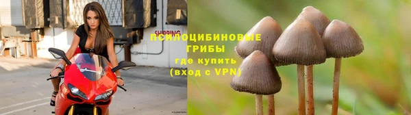 бошки Волосово